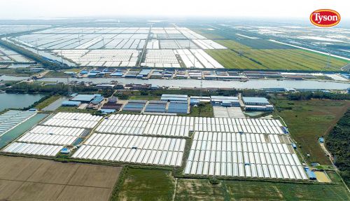 泰森鸡肉安全吗？数字化转型如何保障从农场到餐桌的食品安全