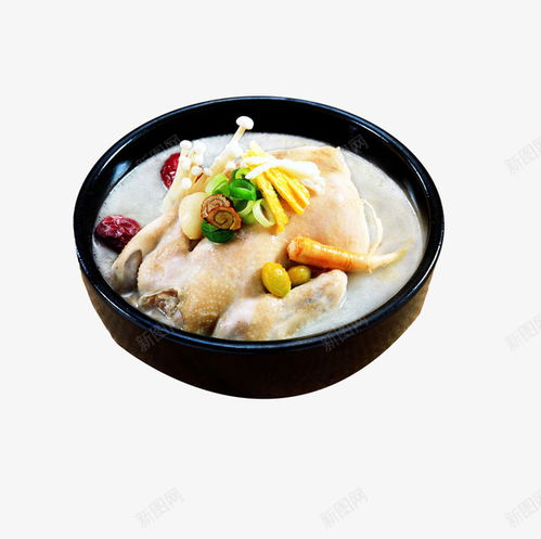美食设计新焦点 老母鸡汤免抠PNG素材，赋能餐饮与电商创意